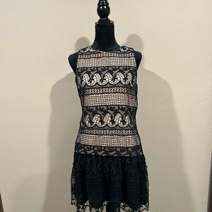 Alice + Olivia Black Lace Mini Dress